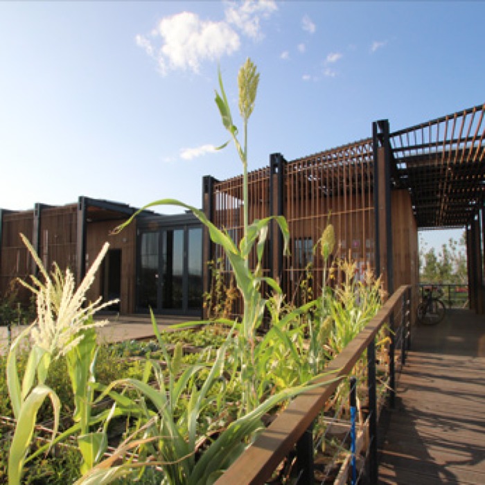 中國國際太陽能十項